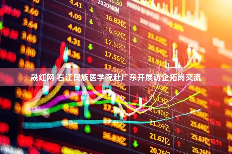 晟红网 右江民族医学院赴广东开展访企拓岗交流