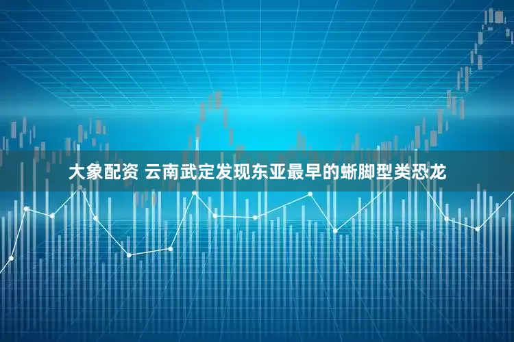 大象配资 云南武定发现东亚最早的蜥脚型类恐龙