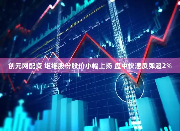 创元网配资 维维股份股价小幅上扬 盘中快速反弹超2%