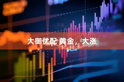 大御优配 黄金，大涨